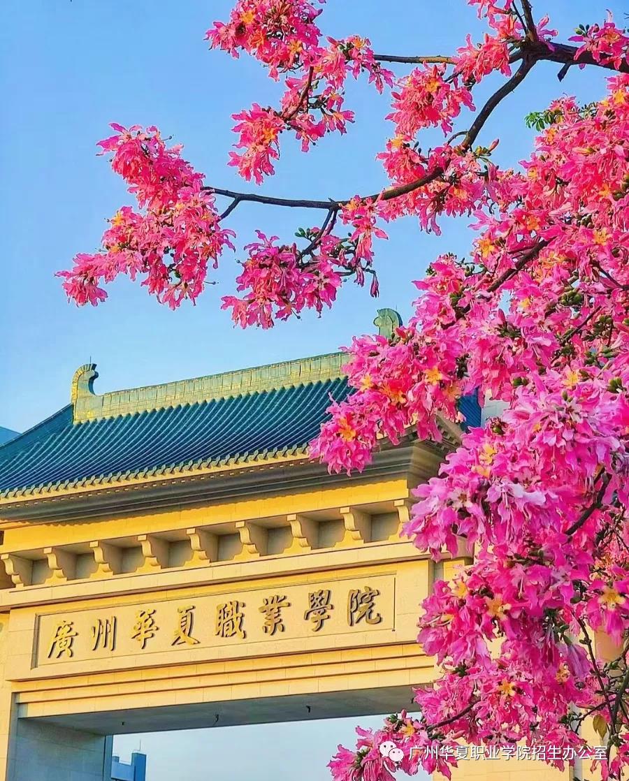 2021廣州華夏職業(yè)技術(shù)學(xué)院3+證書招生(圖1)