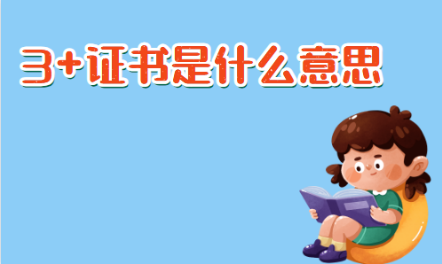 3+證書是什么意思(圖1)