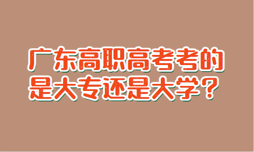 廣東高職高考考的是大專還是大學(xué)？(圖1)