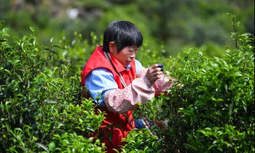 廣東這些大學(xué)專業(yè)號(hào)稱“調(diào)劑接收大戶”(圖27)