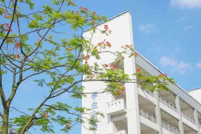 【院校介紹】廣東職業(yè)技術(shù)學(xué)院(圖4)