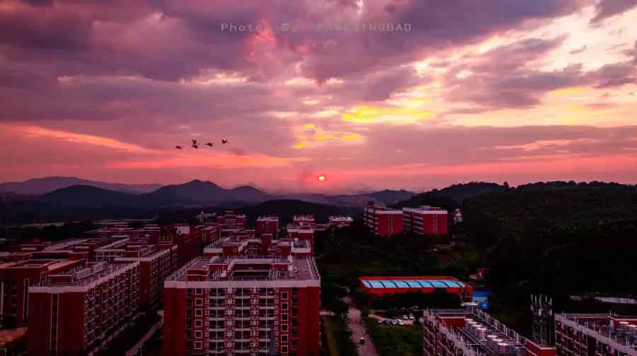 2021年廣州華商職業(yè)學(xué)院高職擴(kuò)招招生簡(jiǎn)章(圖3)
